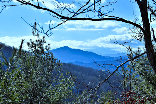 Deep Creek Trail Trailhead