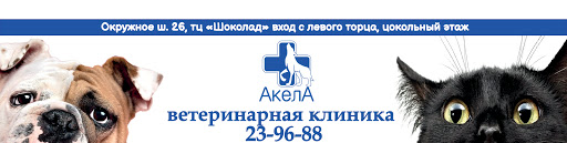 ветлечебница бобруйск