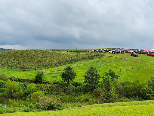Vineyard «Kaya Vineyard & Winery», reviews and photos, 5400 Town Creek Rd, Dahlonega, GA 30533, USA