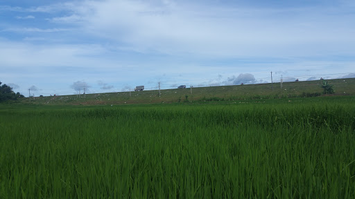 Mount Elephant