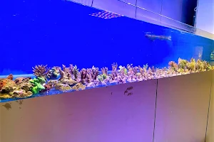 Aquarium Angri image