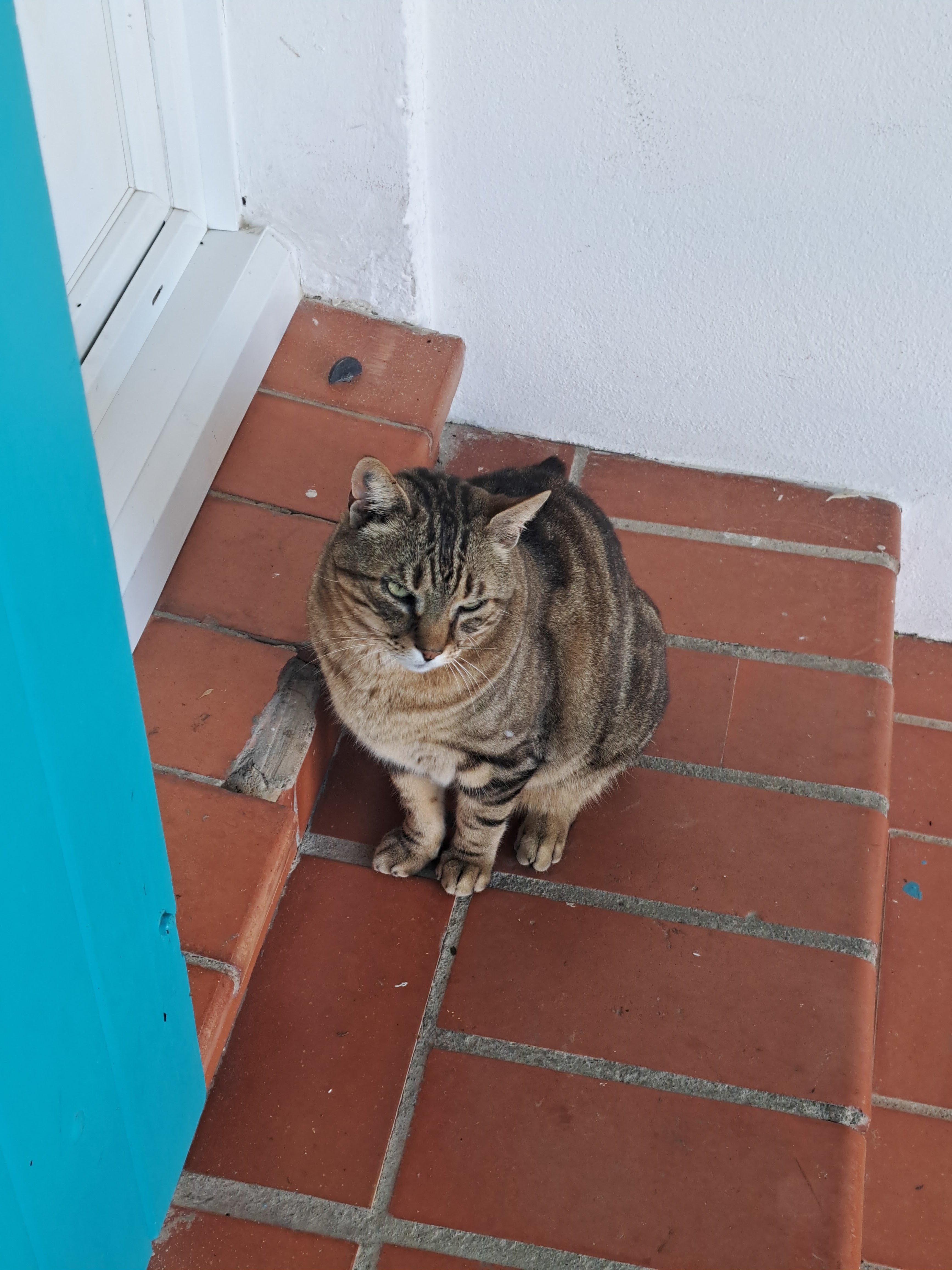 Photo n° 1 de l'avis de Mélanie. fait le 15/05/2023 à 11:40