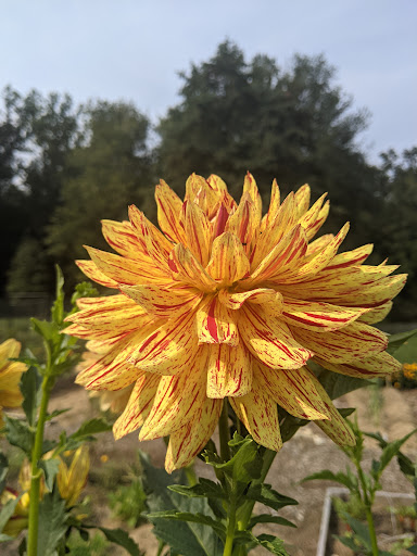 Park «Hart`s Brook Park and Preserve», reviews and photos, 156 Ridge Rd, Hartsdale, NY 10530, USA