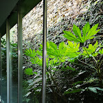 Photo n°6 de l'avis de Krzysztof.r fait le 08/06/2023 à 11:33 sur le  Octant Hotels Douro à Castelo de Paiva