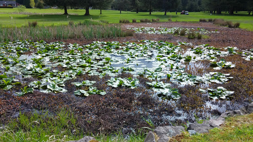 Golf Club «Snoqualmie Falls Golf Course», reviews and photos, 35109 SE Fish Hatchery Rd, Fall City, WA 98024, USA