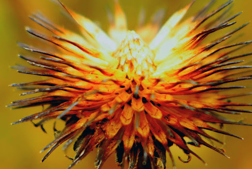 Park «Walter & Mary Burke Park», reviews and photos, 36300 Front St, New Baltimore, MI 48047, USA