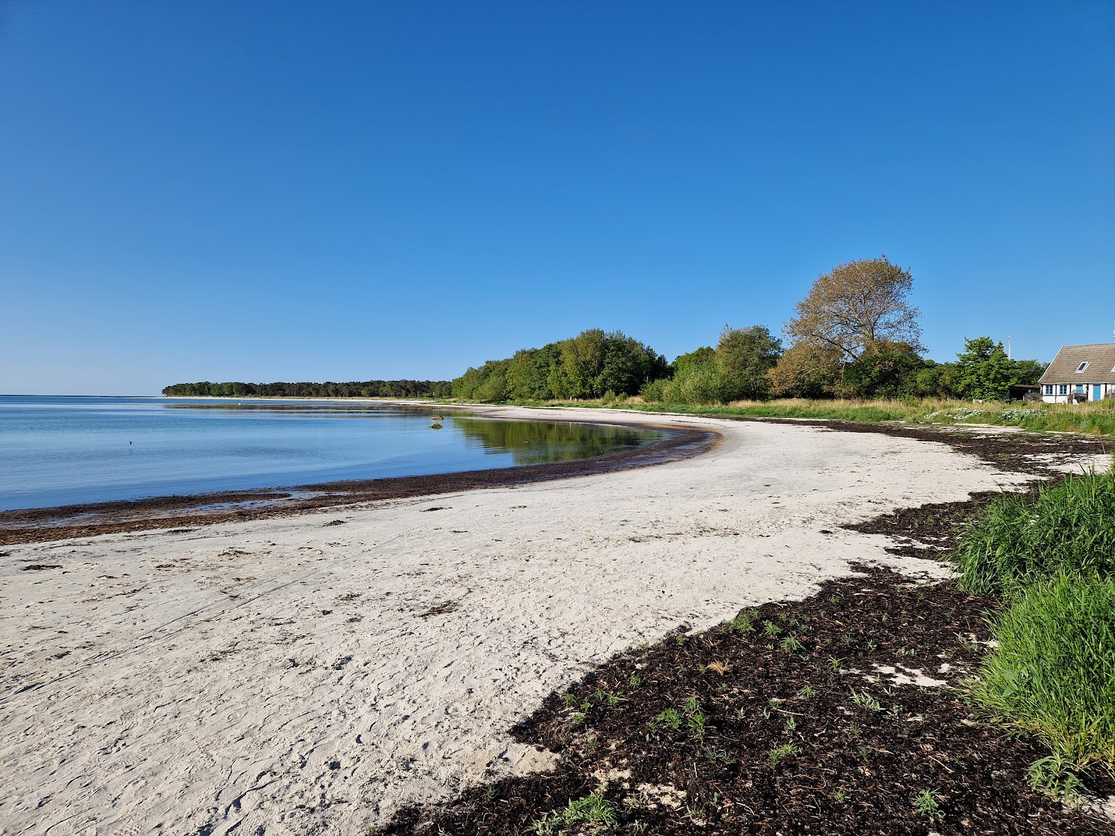 Foto van Snogebaek Strand met hoog niveau van netheid