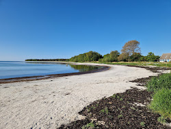 Photo de Snogebaek Strand zone des équipements