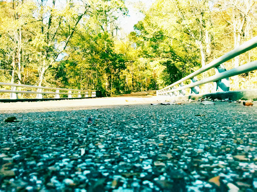 Amusement Park «Adventureland Park», reviews and photos, 3200 Adventureland Dr, Altoona, IA 50009, USA