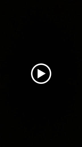 Event Venue «Paradise Rock Club», reviews and photos, 967 Commonwealth Ave, Boston, MA 02215, USA