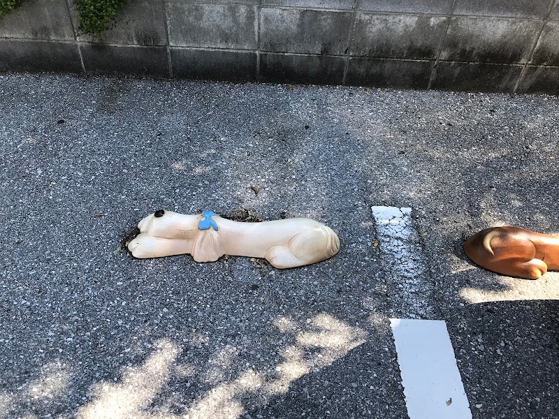 西川動物病院