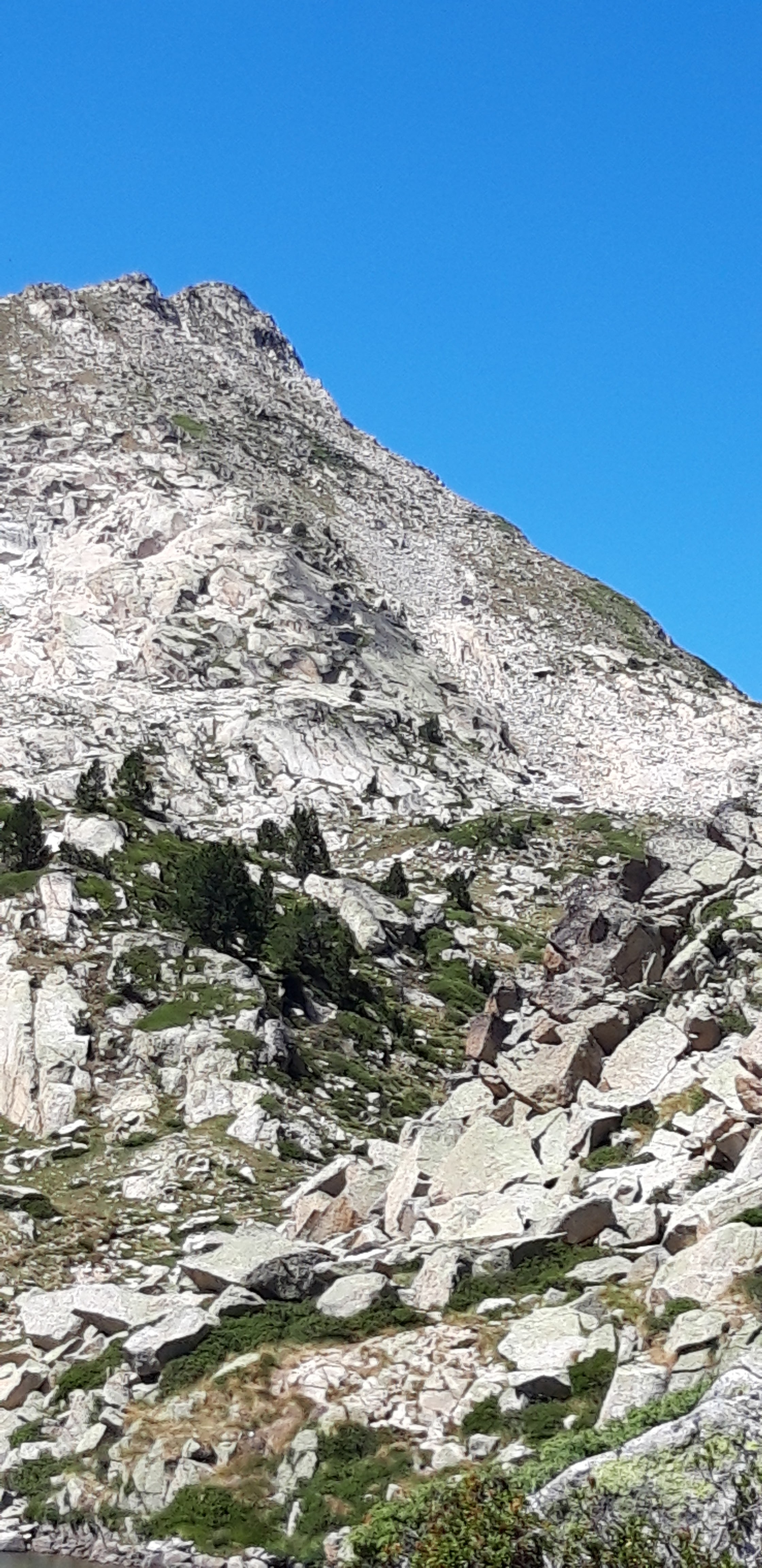 Photo n° 18 de l'avis de Pascal.o fait le 28/10/2018 à 15:29