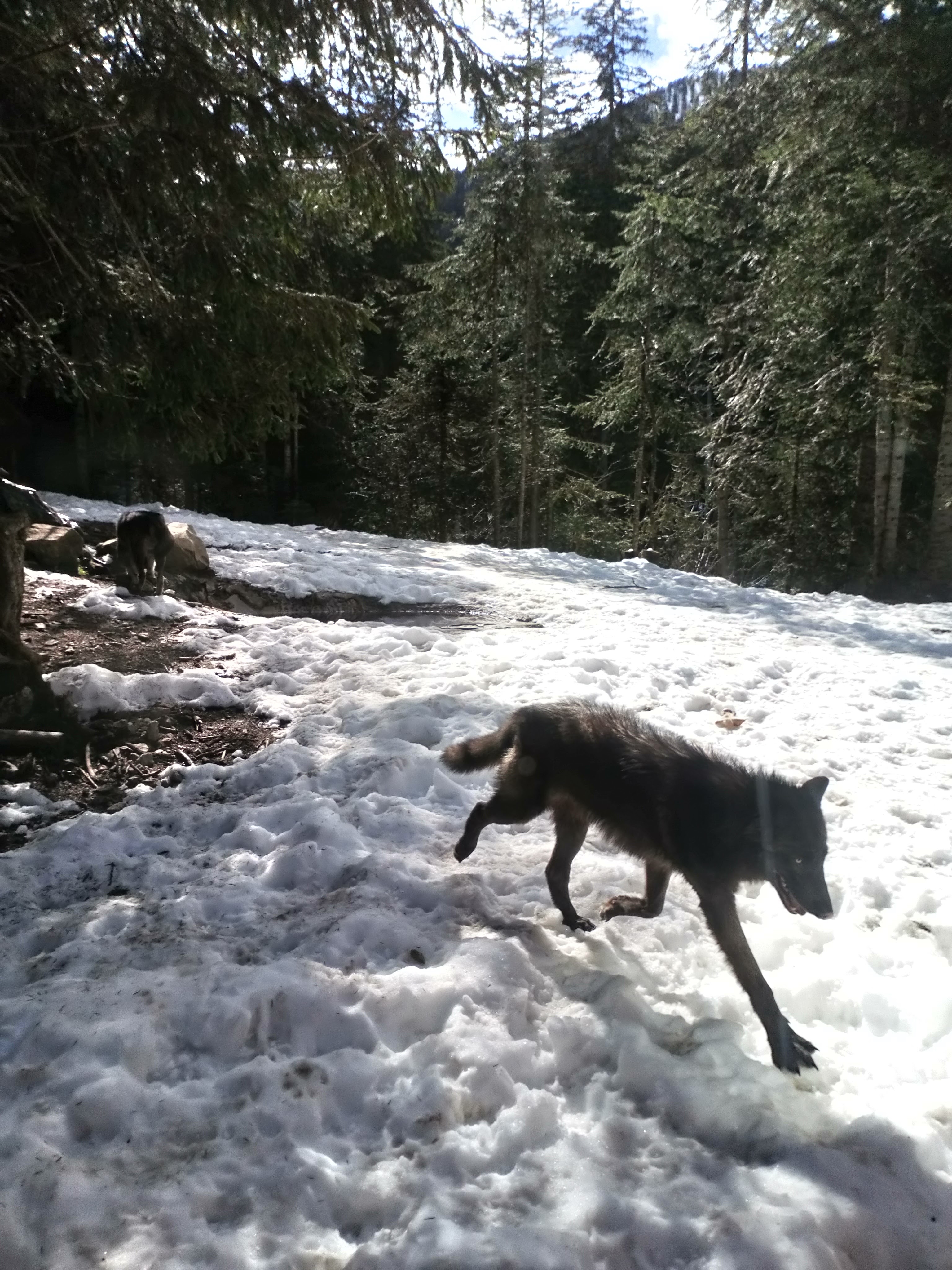 Photo n° 4 de l'avis de virginie.u fait le 15/04/2019 à 06:27