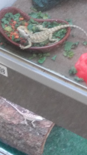 Pet Supply Store «Pet Supplies Plus», reviews and photos, 2441 N Center St, Hickory, NC 28601, USA