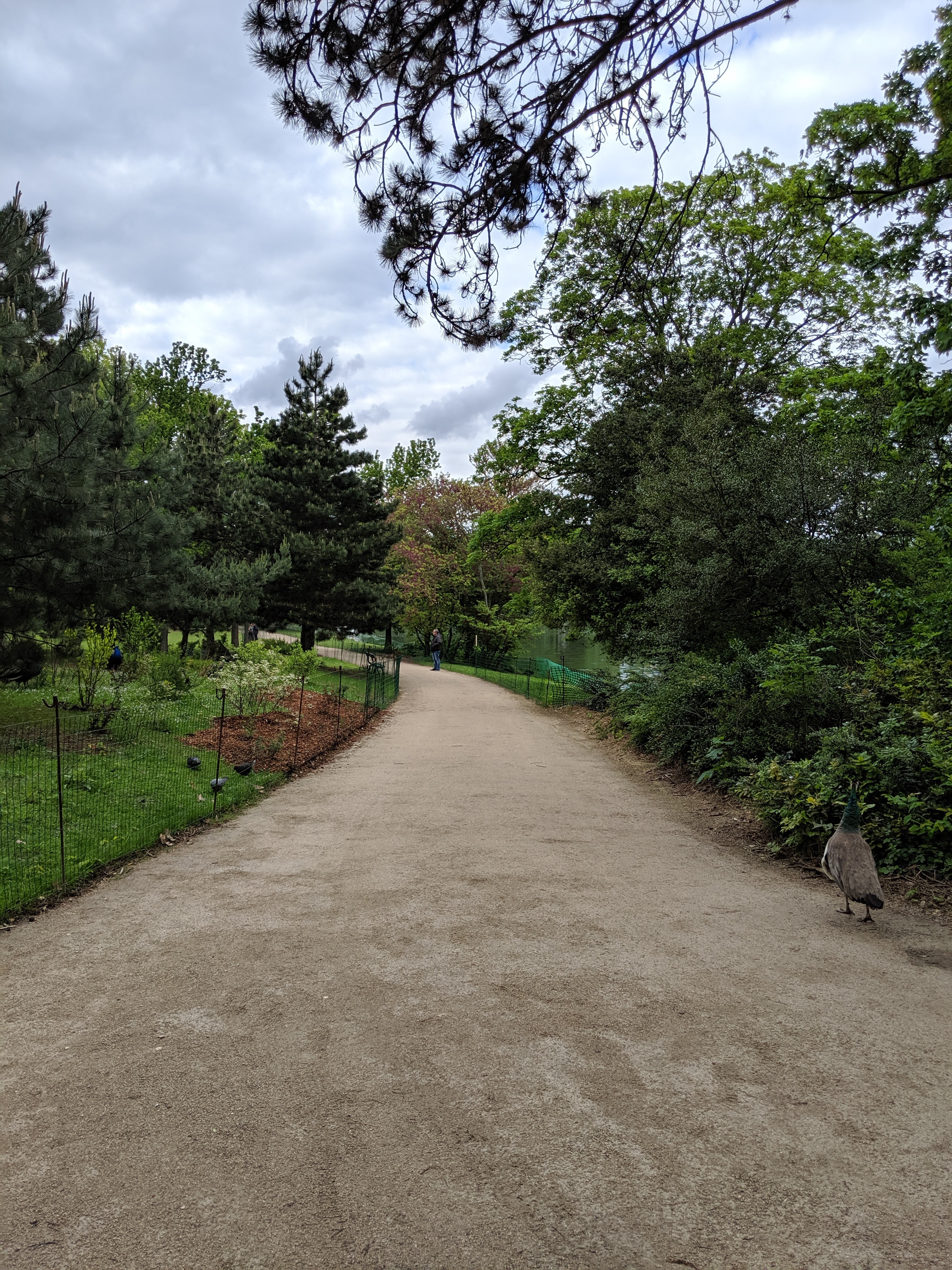 Photo n° 24 de l'avis de Bruno. fait le 09/05/2019 à 17:47