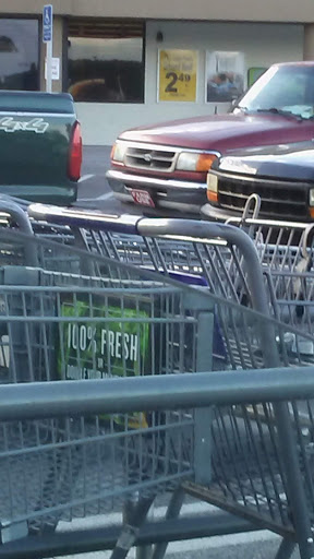 Grocery Store «Food Lion», reviews and photos, 1328 Armory Dr, Franklin, VA 23851, USA