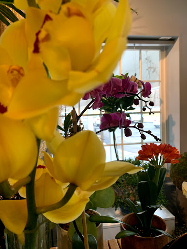 Florist «Colonial Village Flowers», reviews and photos, 1515 Weaver St, Scarsdale, NY 10583, USA