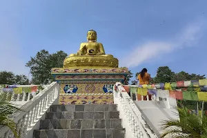 Buddha Peace Park image