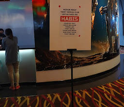 PLATINUM CINEPLEX photo
