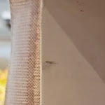 Photo n°1 de l'avis de Jason.o fait le 15/09/2023 à 20:15 sur le  Grano, Frutta e Farina Bakery à Rome