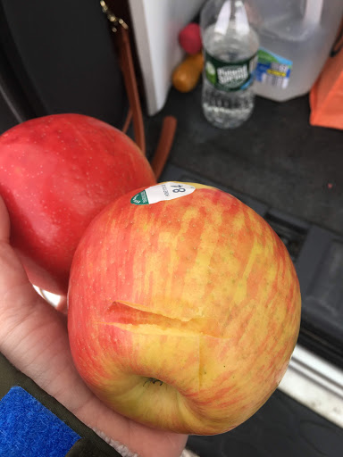 Supermarket «ALDI», reviews and photos, 925 Easton Rd, Abington, PA 19001, USA