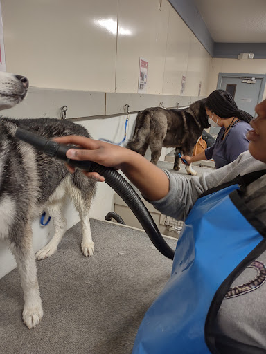 Pet Groomer «U Dirty Dog», reviews and photos, 232 Stevens Entry, Peachtree City, GA 30269, USA