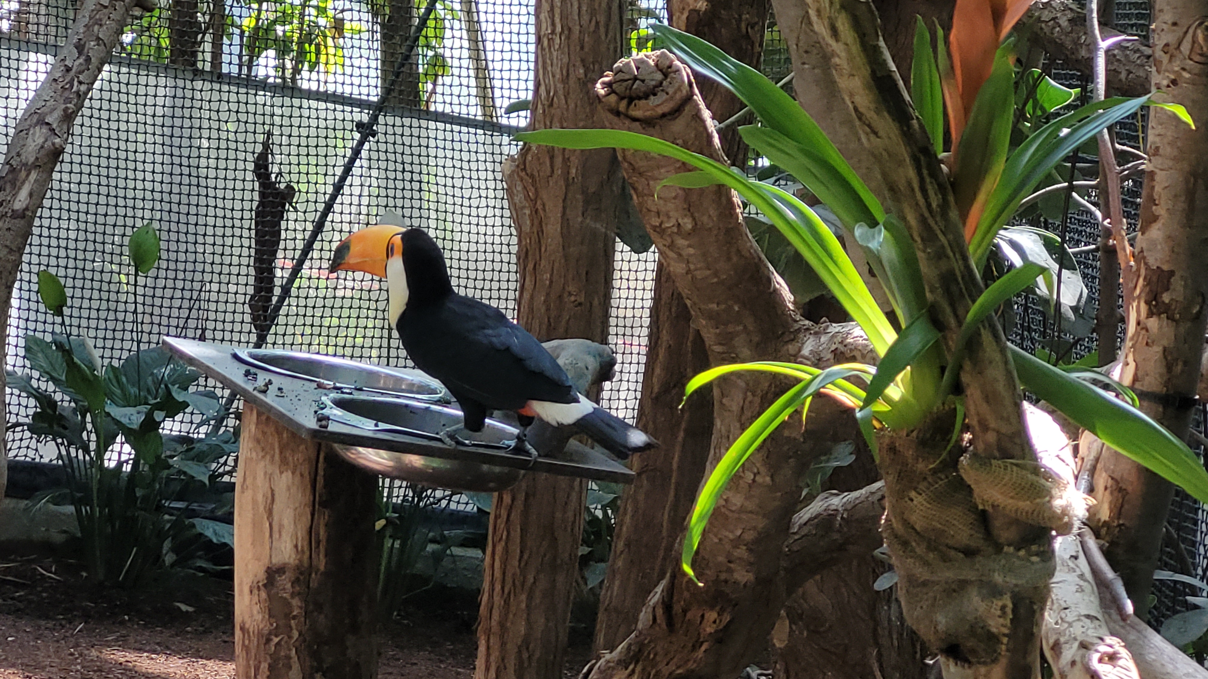 Photo n° 1 de l'avis de Nathalie.o fait le 17/04/2022 à 11:27