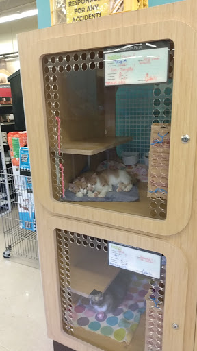 Pet Supply Store «Petco Animal Supplies», reviews and photos, 517 N 3rd Pl, Manhattan, KS 66502, USA