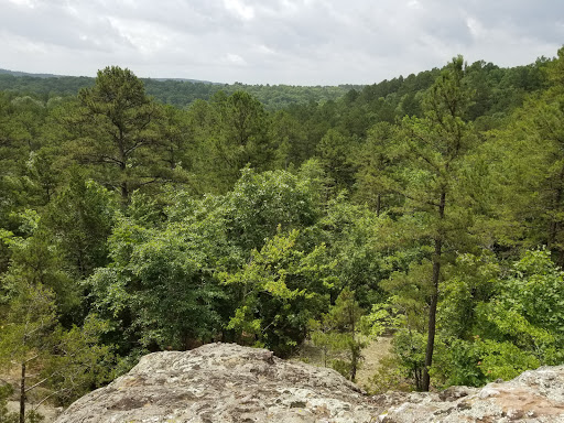 Golf Shop «Indian Hills Golf Course», reviews and photos, 331 Snead Dr, Fairfield Bay, AR 72088, USA