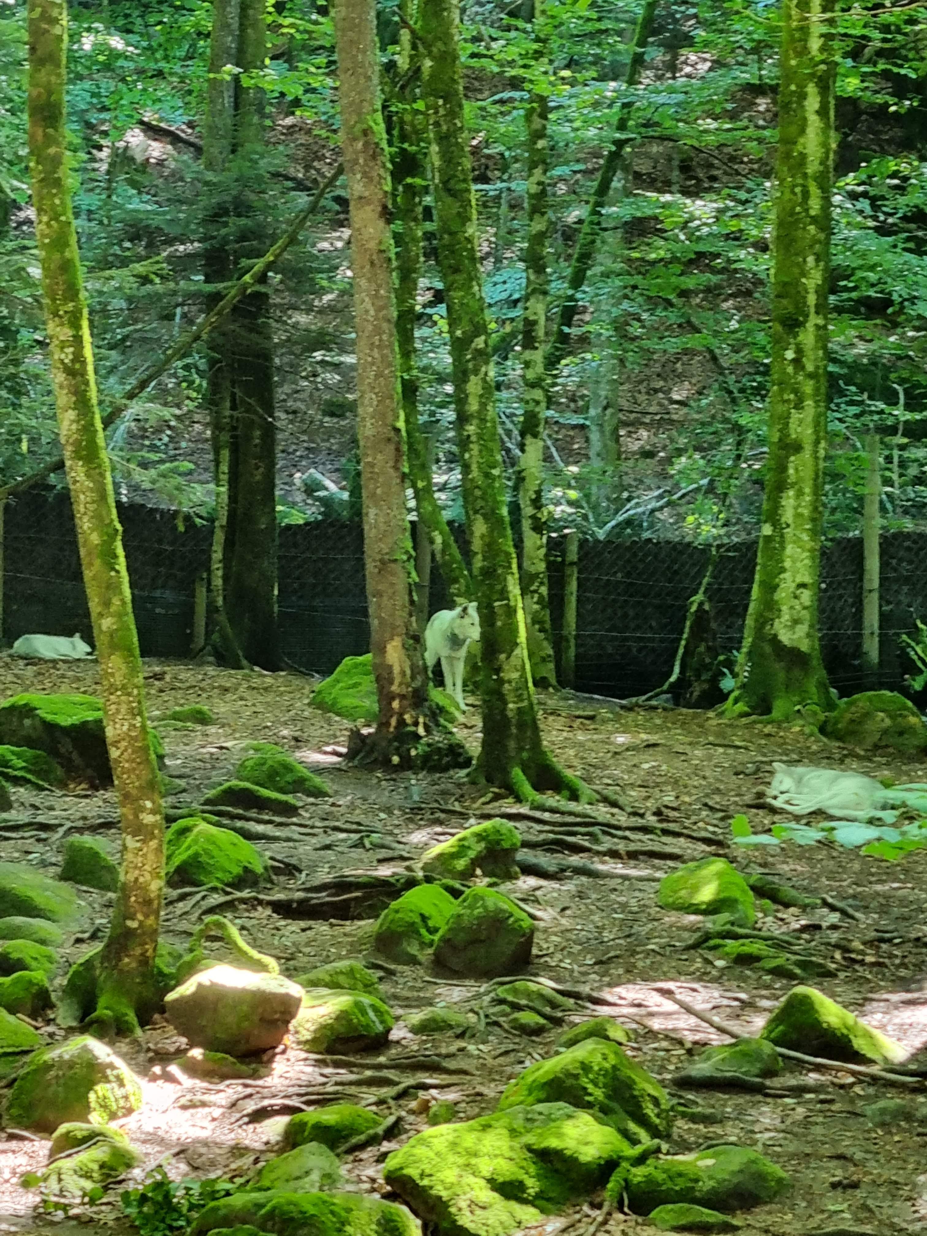 Photo n° 1 de l'avis de Laetitia.a fait le 27/08/2022 à 15:00