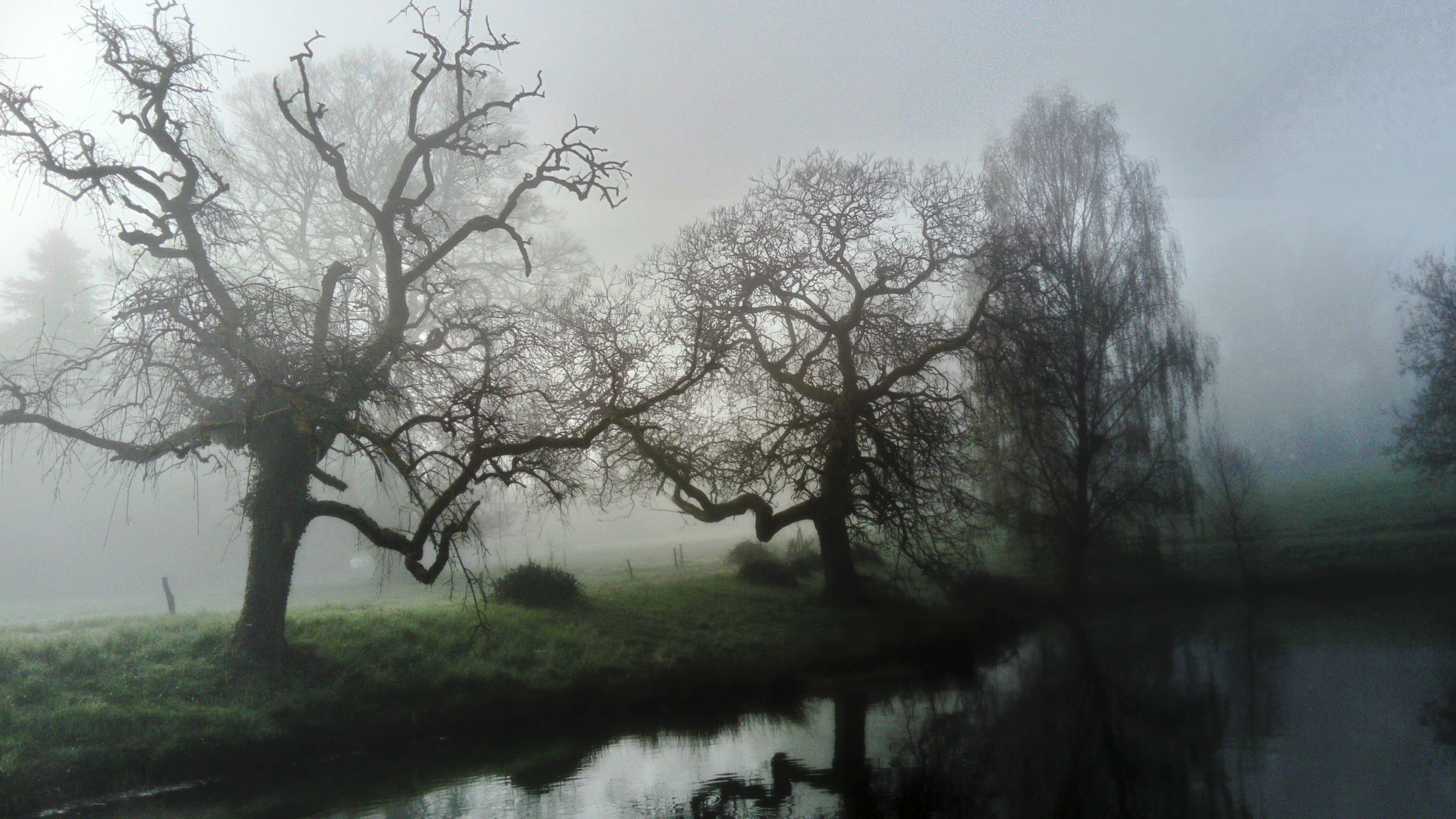 Photo n° 3 de l'avis de Hélène.o fait le 15/04/2018 à 17:46