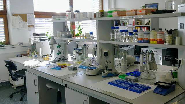 Dandeo Medical Laboratory