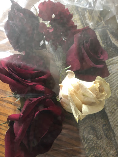 Florist «Essex Florist & Greenhouses», reviews and photos, 341 S Marlyn Ave, Essex, MD 21221, USA