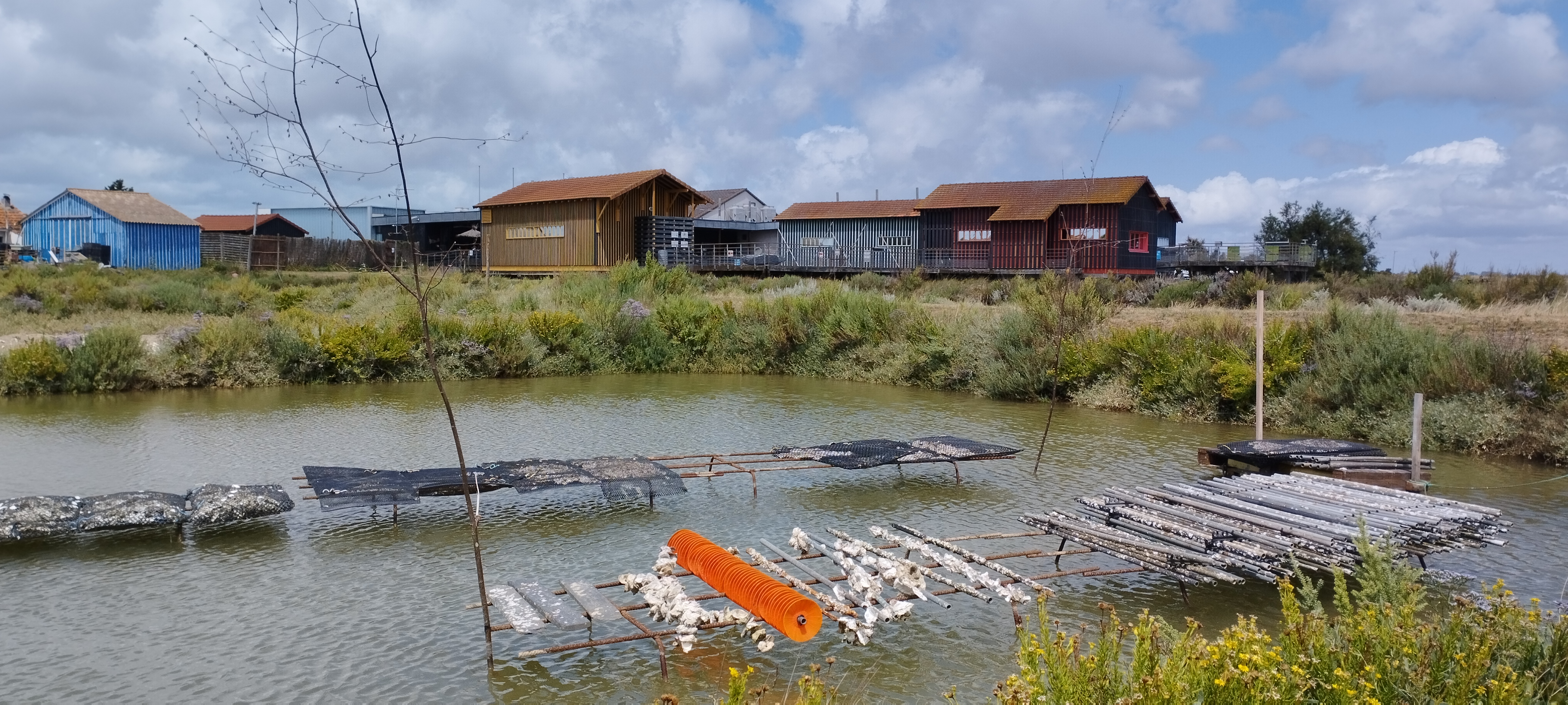 Photo n° 3 de l'avis de Sophie.i fait le 08/08/2022 à 15:27