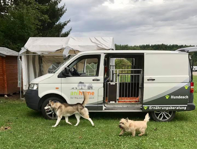 Anihome.ch Hundepension - Hundebetreuung - Hundeschule