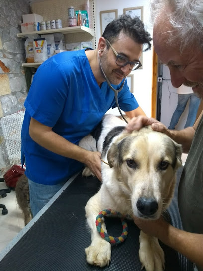 Veterinary clinic- Tierarzt