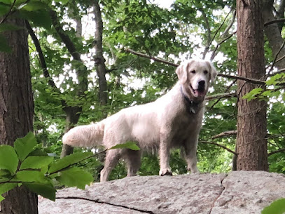 Wagging Tails and Trails