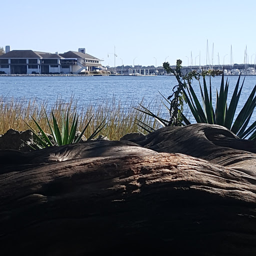 Art Museum «Hermitage Museum and Gardens», reviews and photos, 7637 N Shore Rd, Norfolk, VA 23505, USA