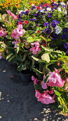 Produce Market «Circle 3 Farms», reviews and photos, 950 NJ-23, Pompton Plains, NJ 07444, USA