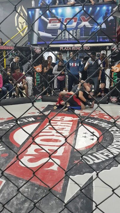 Héroes 'Centro de Entrenamiento de Artes Marciales Mixtas'