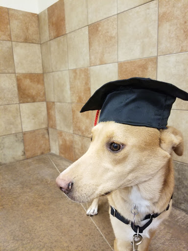 Pet Supply Store «PetSmart», reviews and photos, 1140 W Elliot Rd, Tempe, AZ 85284, USA