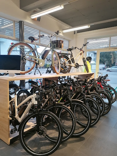 Rezensionen über Velogfeller AG in Bern - Fahrradgeschäft