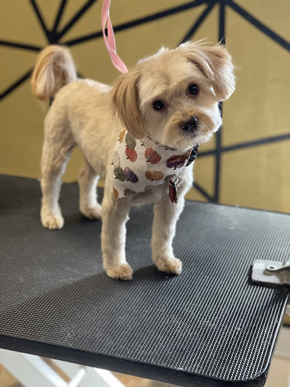 Gold Valley Pet Grooming