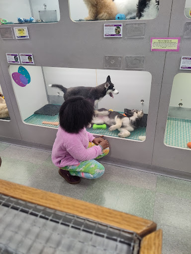 Pet Supply Store «PetSmart», reviews and photos, 2641 Lawndale Dr, Greensboro, NC 27408, USA