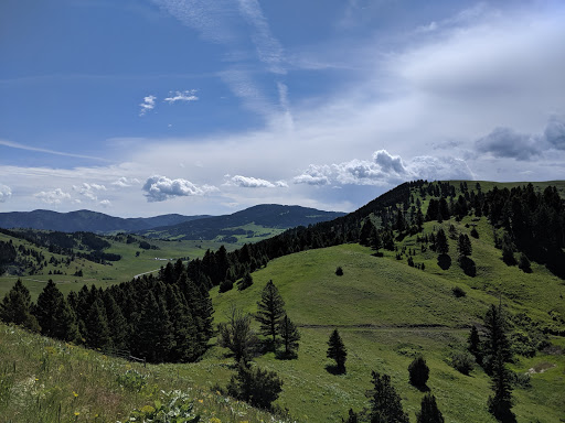 Drinking Horse Mountain Trailhead, Drinking Horse Hill Trail, Bozeman, MT 59715