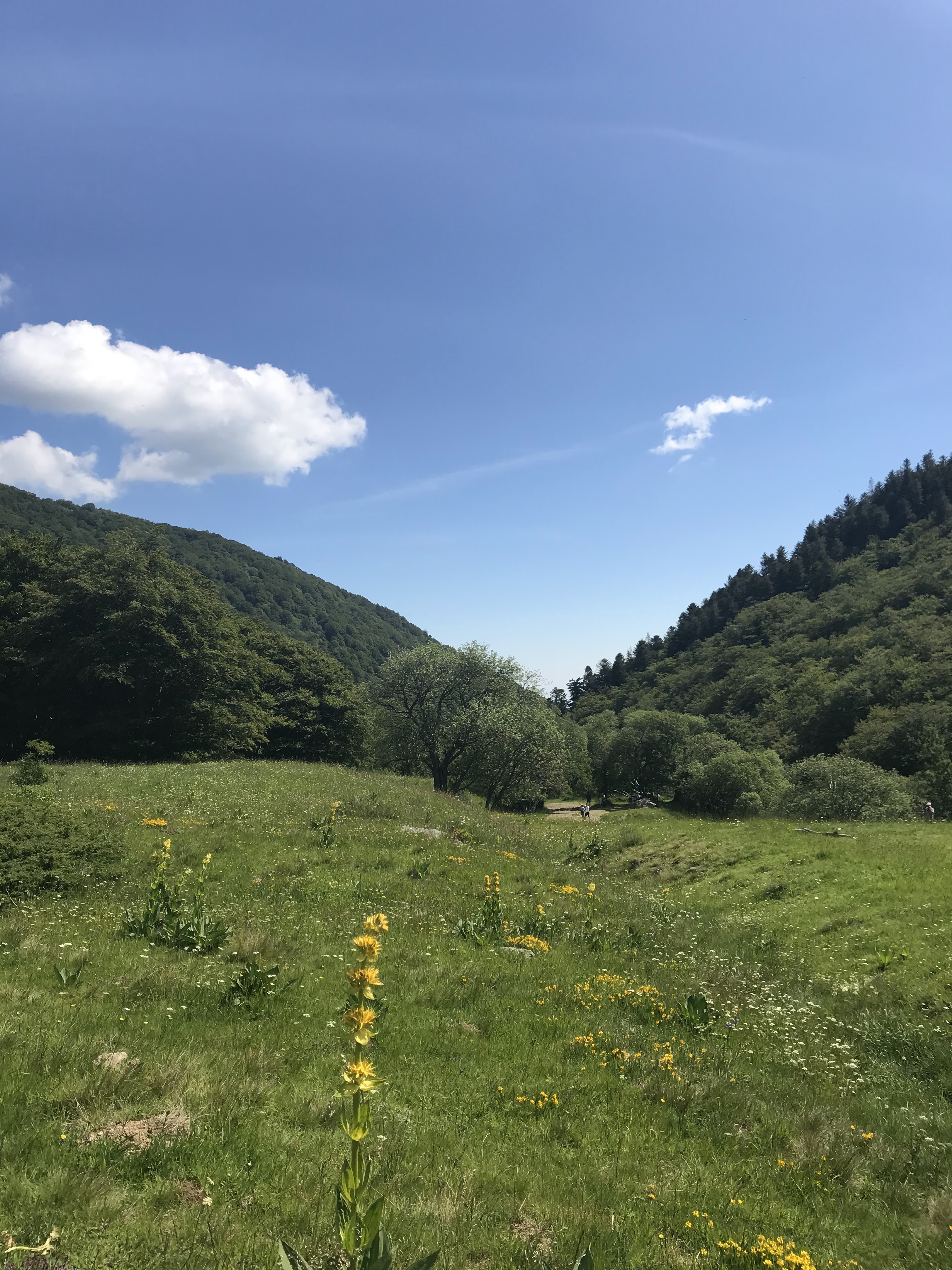 Photo n° 48 de l'avis de axel.l fait le 24/06/2020 à 15:56