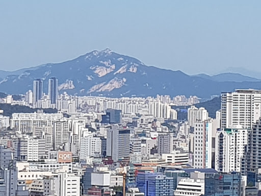 서울신라호텔 더 파크뷰