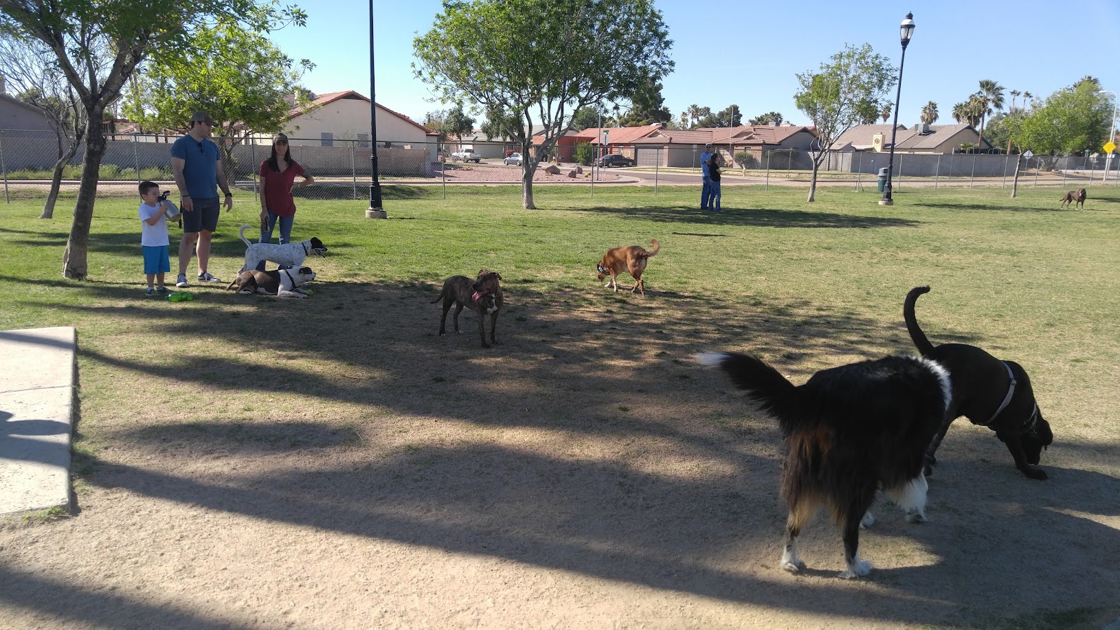 Sahuaro Ranch Dog Park