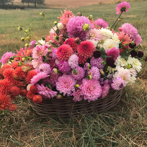 Florist «Little House of Flowers», reviews and photos, 331 Gambrills Rd #8, Gambrills, MD 21054, USA