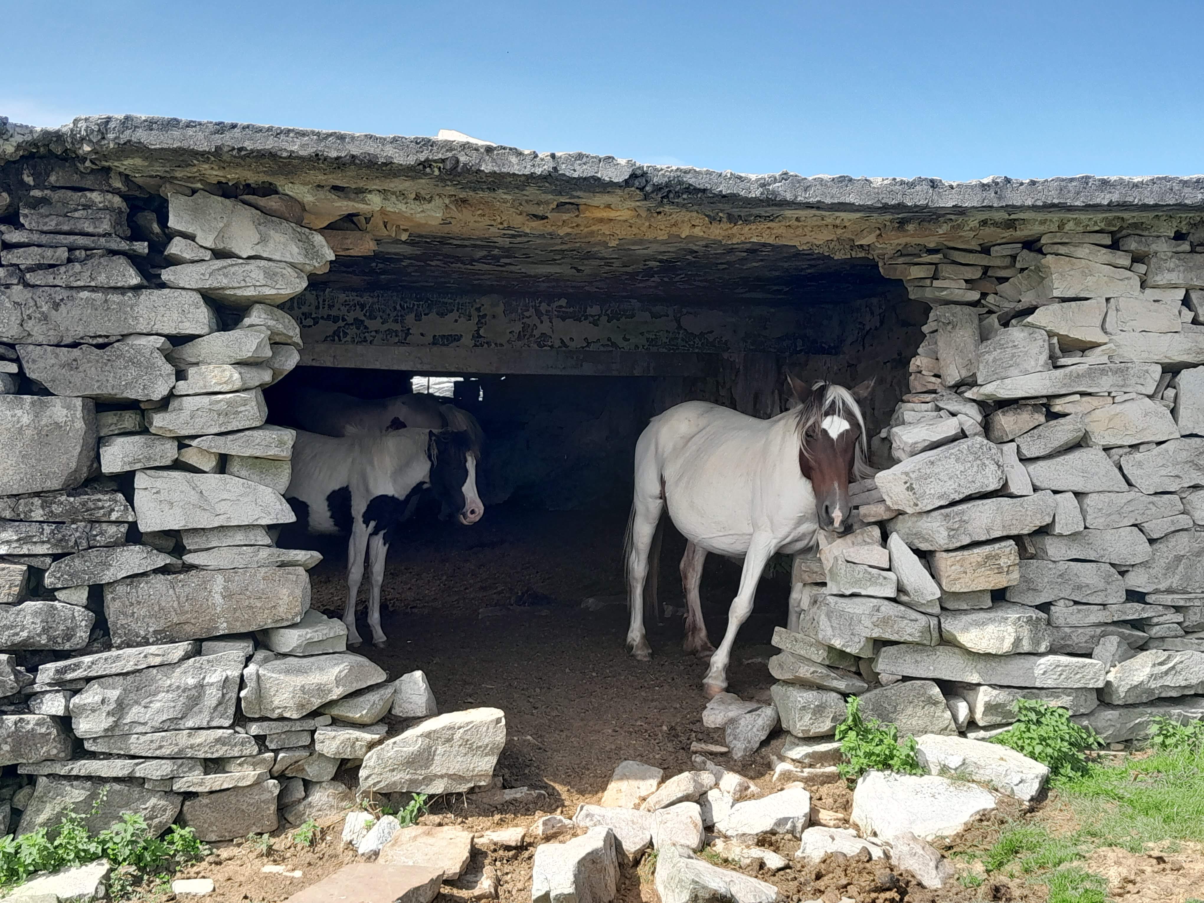Photo n° 3 de l'avis de Irène.E fait le 15/09/2023 à 15:24
